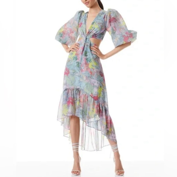 Alice + Olivia Katia Twist-Front Floral Cutout High Low Dress - Size 4 - Picture 1 of 4